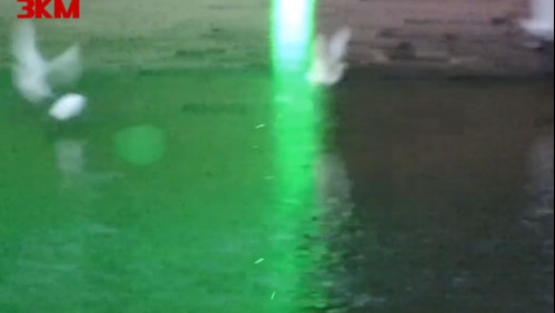 绿色激光驱鸟全智能且永不落空